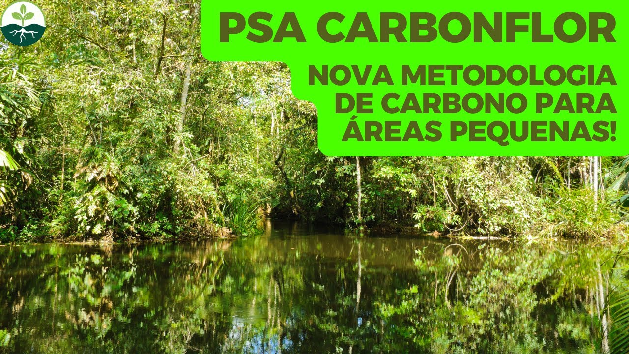 PSA Carbonflor, nova metodologia de carbono para áreas pequenas!