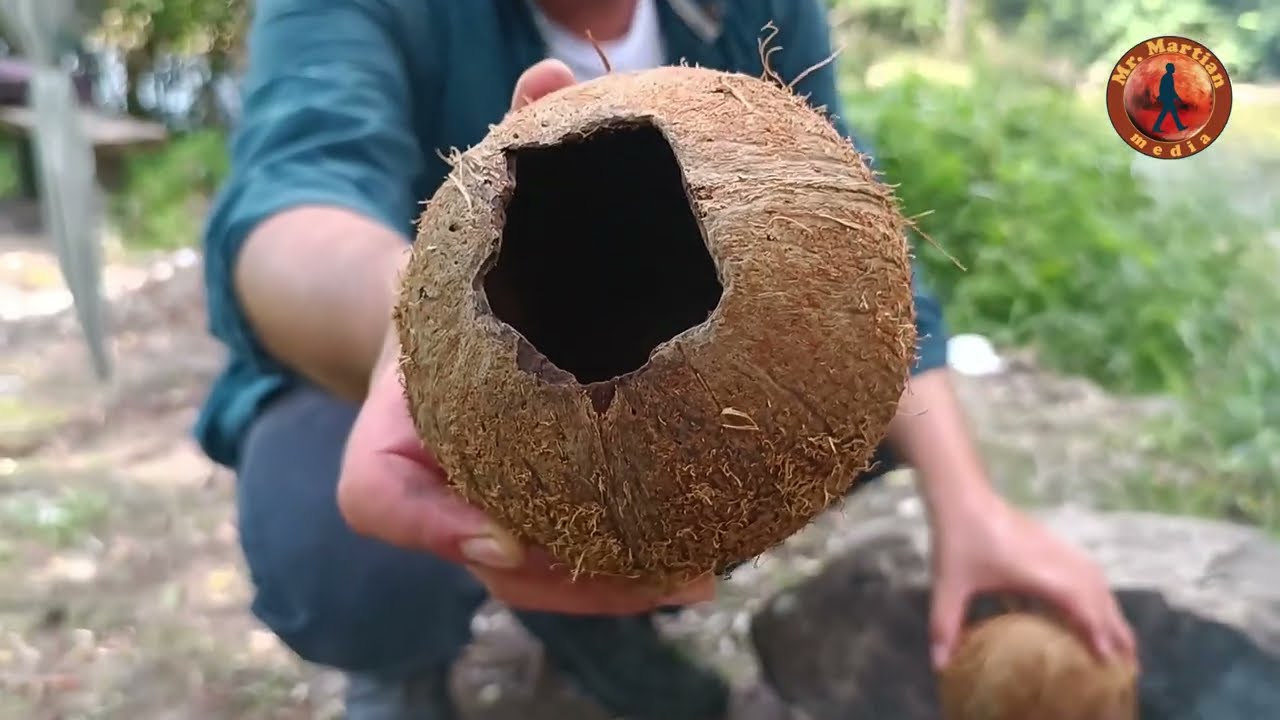 Make a bird nest from coconut shell