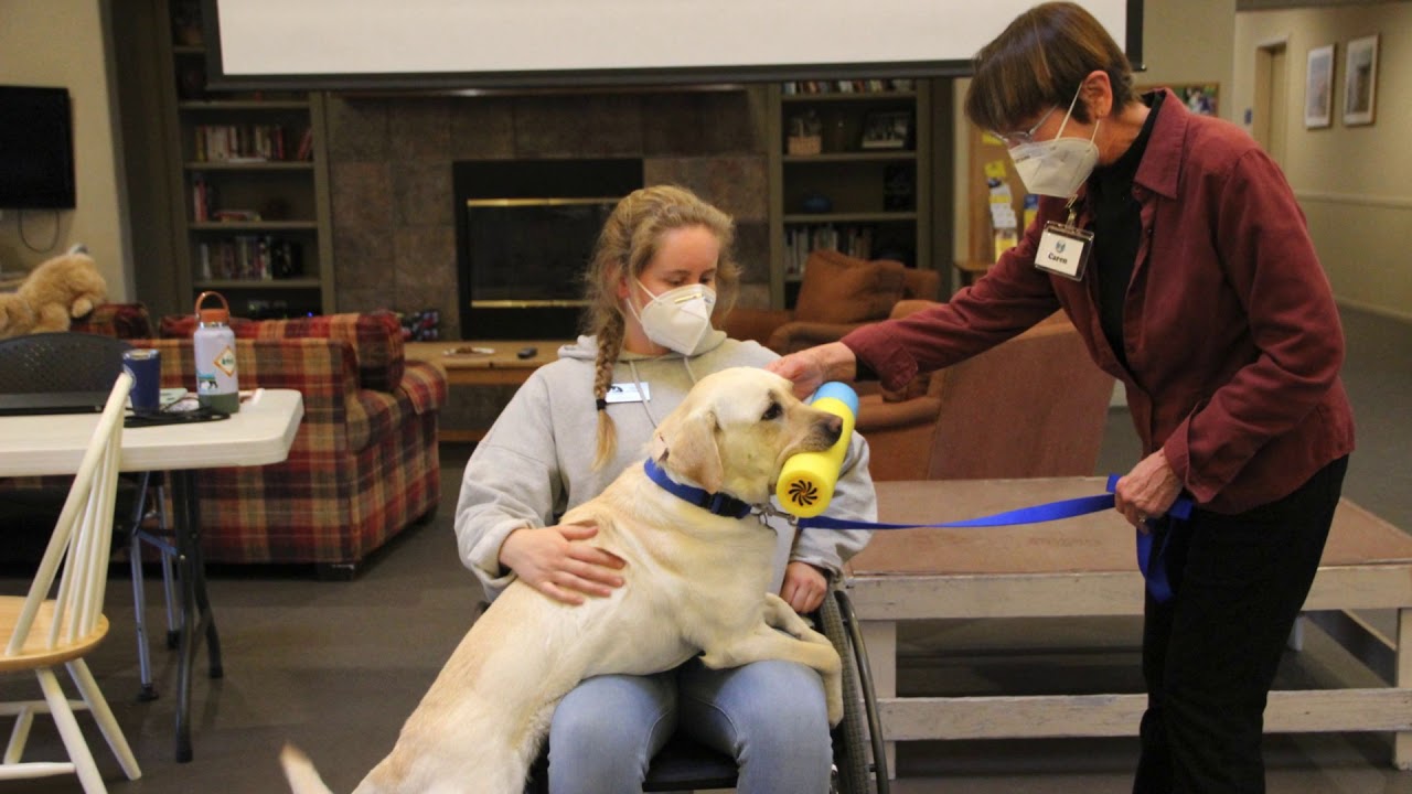 Northwest Region January 29, 2021 Facility Dog Teams Graduation