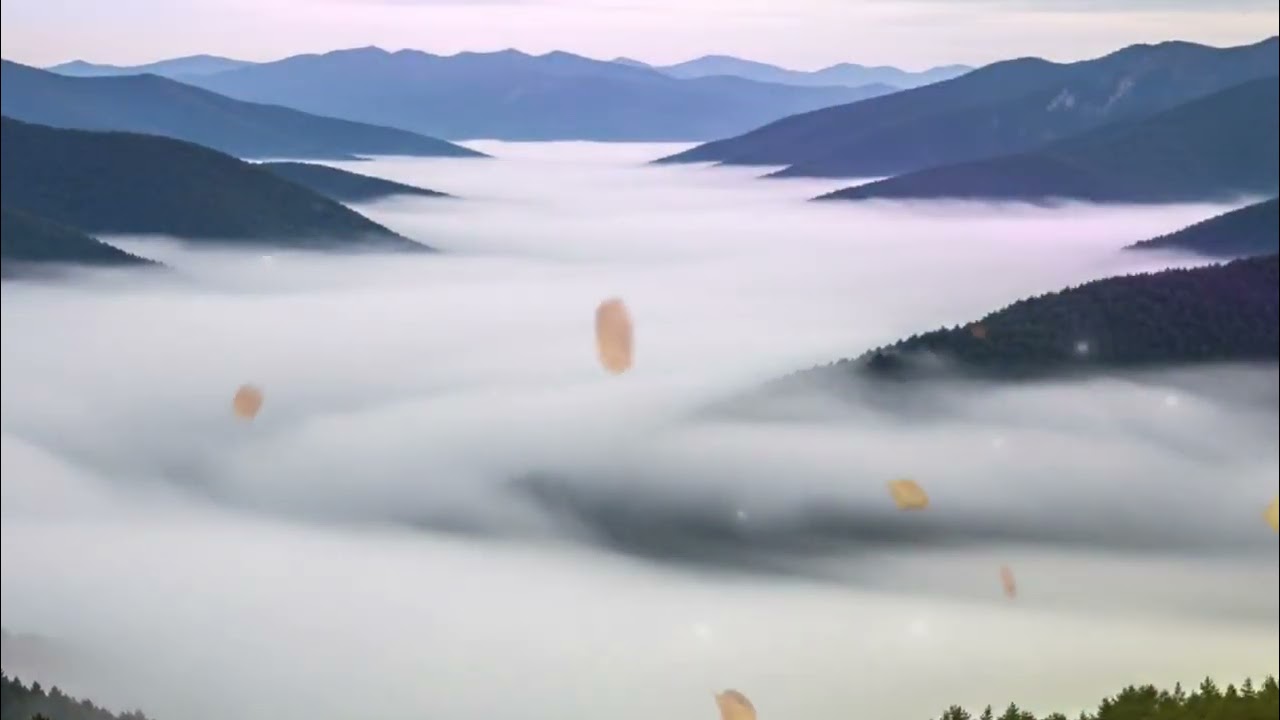 Elegant Classical Instrumental Music for Studying, Reading, and Deep Concentration