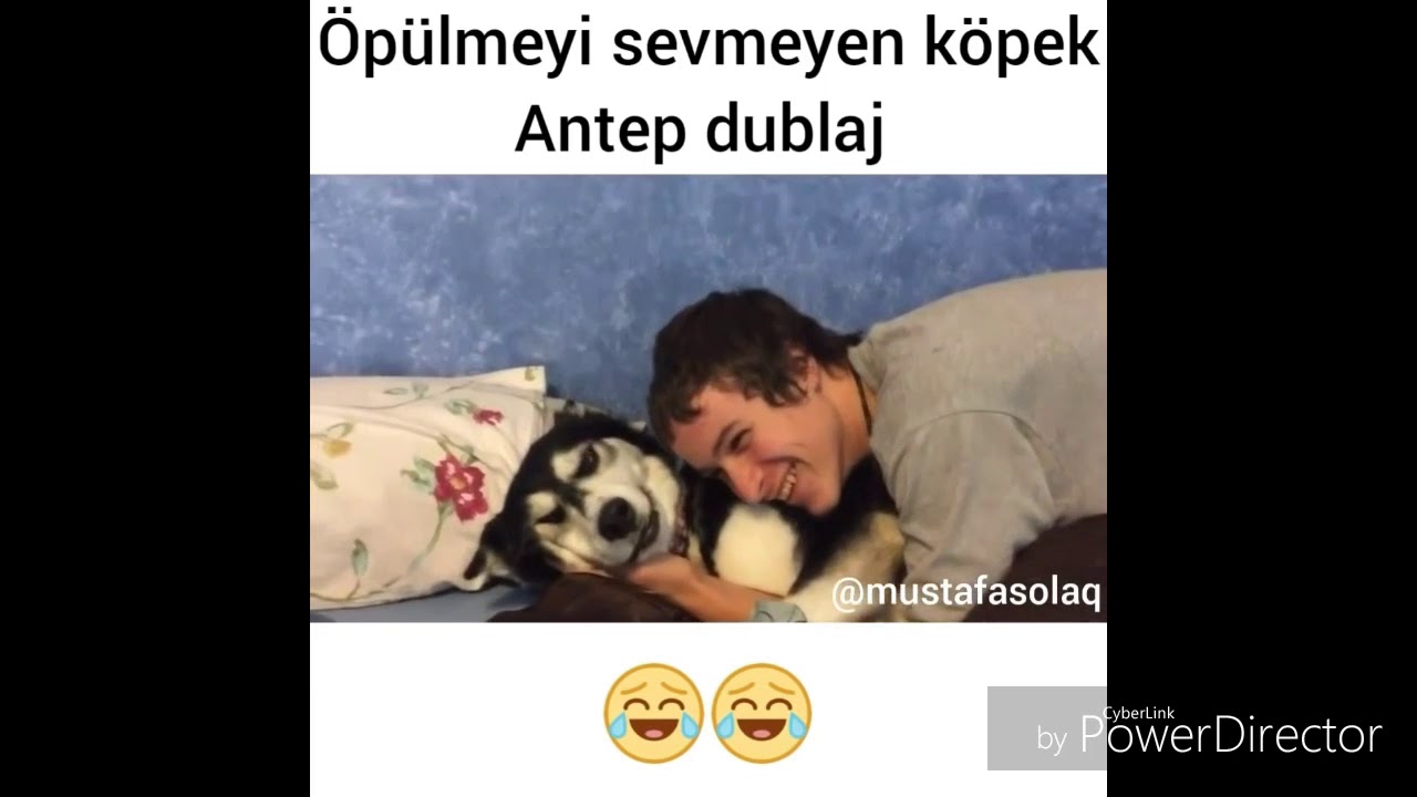 Oyuncak kediden korkan kedi mırracan Antep dublaj  (MUSTAFA SOLAQ)