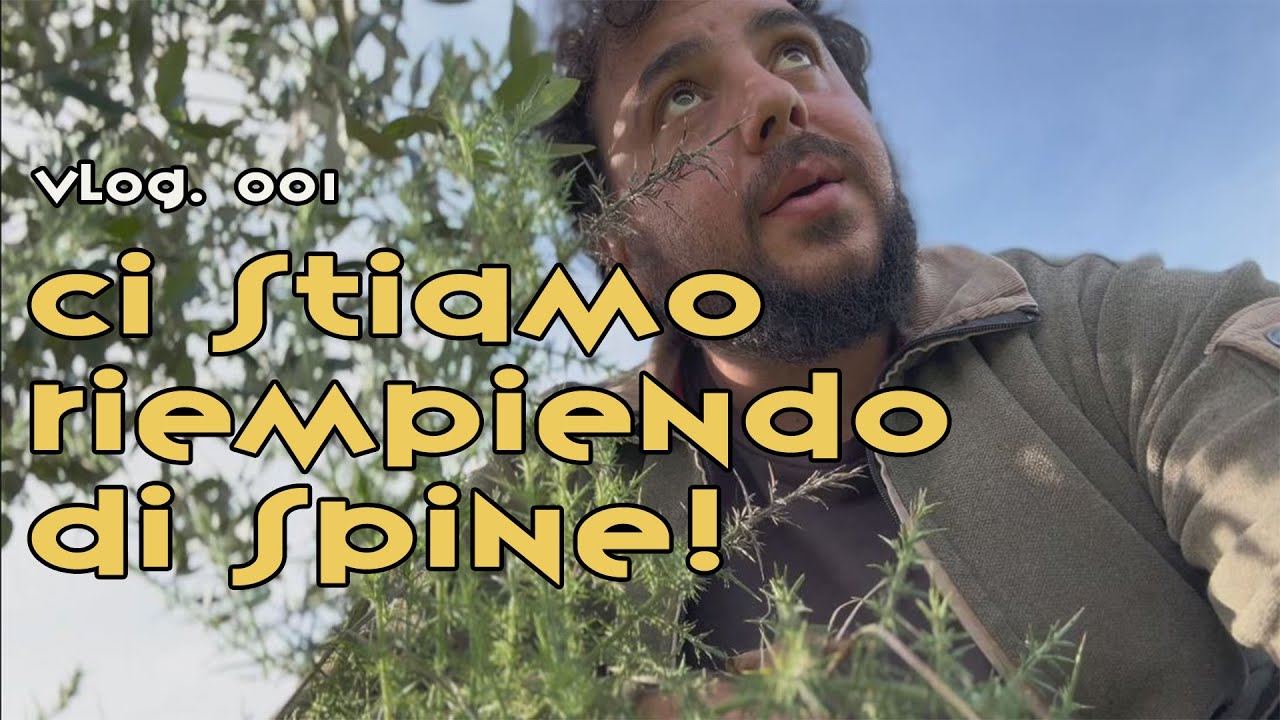 Vlog n. 001 Inserire le pecore in un contesto agro-silvo-pastorale
