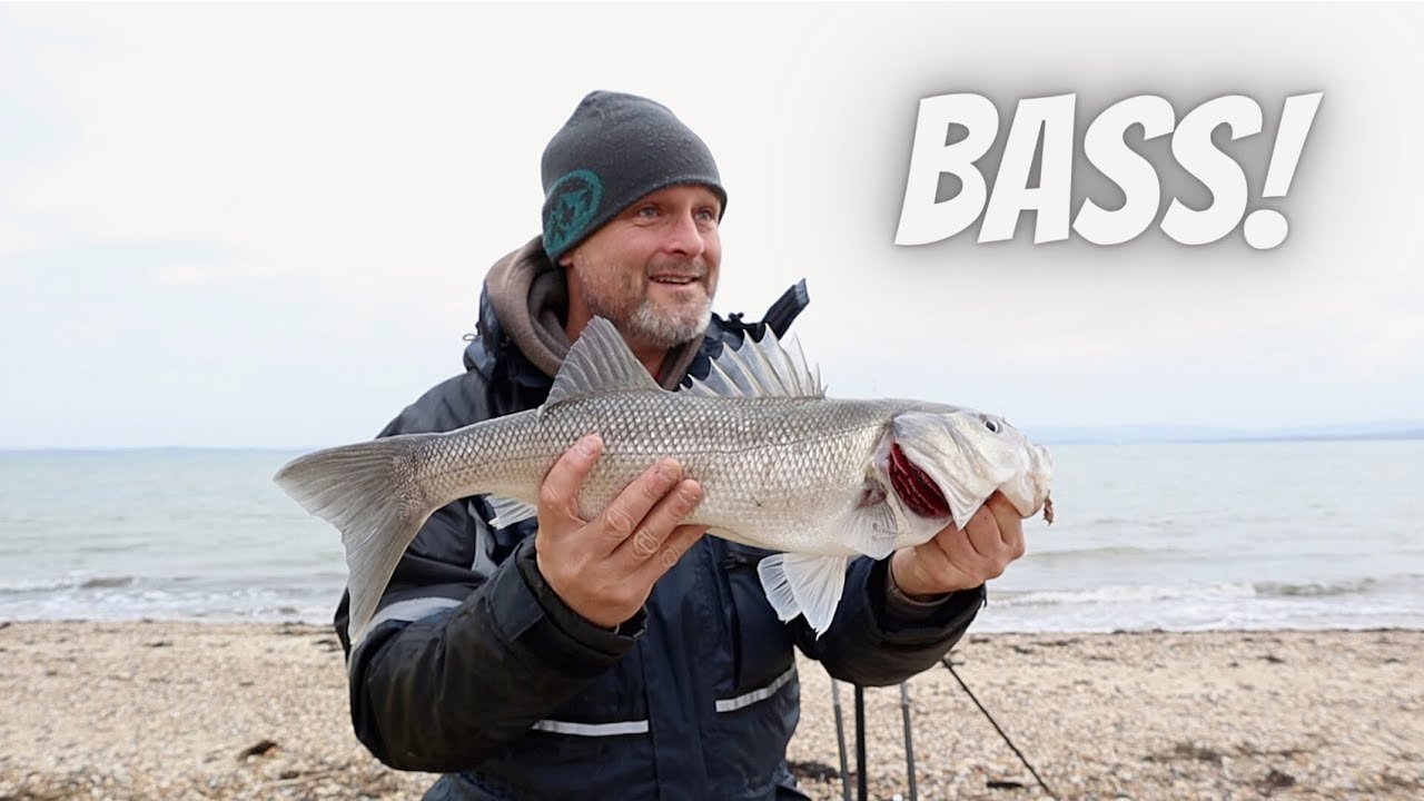 Park Shore - Bass - hunting for the elusive Solent flounder and finding only winter bass