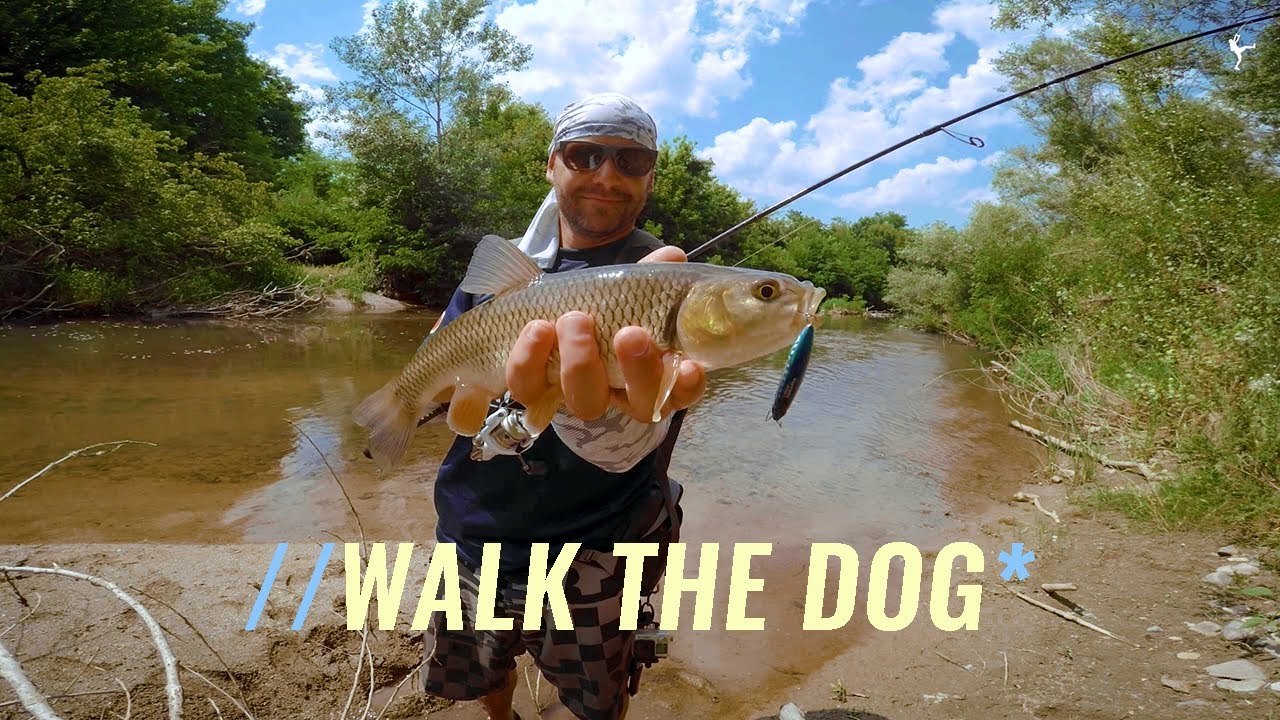 Walk The Dog