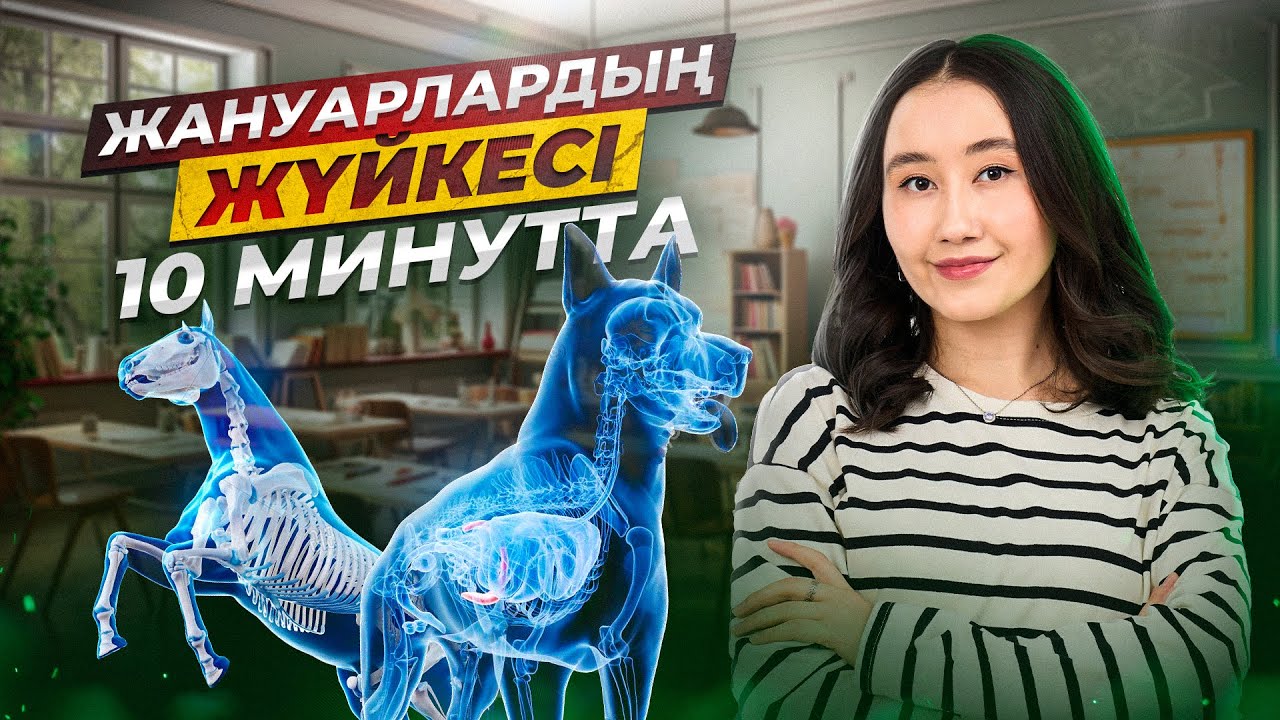 Жануарлардың жүйкесі 10 минутта | ҰБТ Биология