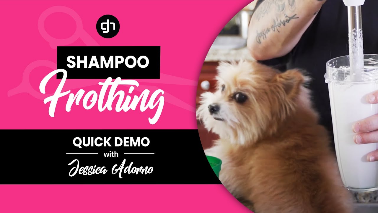 How do you froth shampoo? - Dog grooming shampoo frothing demo w/ Jessica Adorno