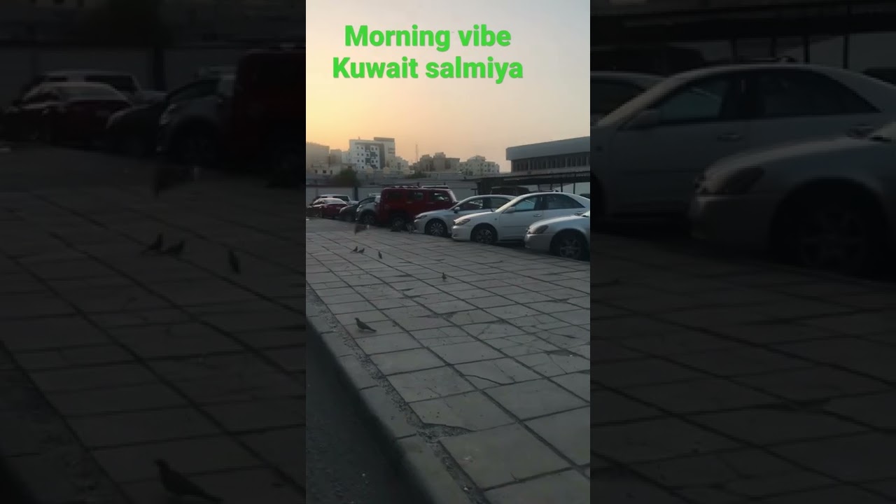 Morning vibe #morning #kuwaitmalayali #shorts #short