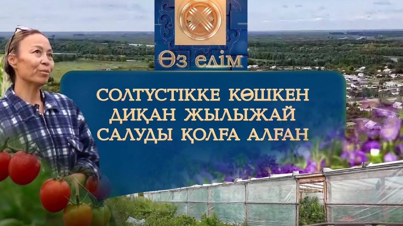 Солтүстікке көшкен диқан жылыжай салуды қолға алған | Өз елім