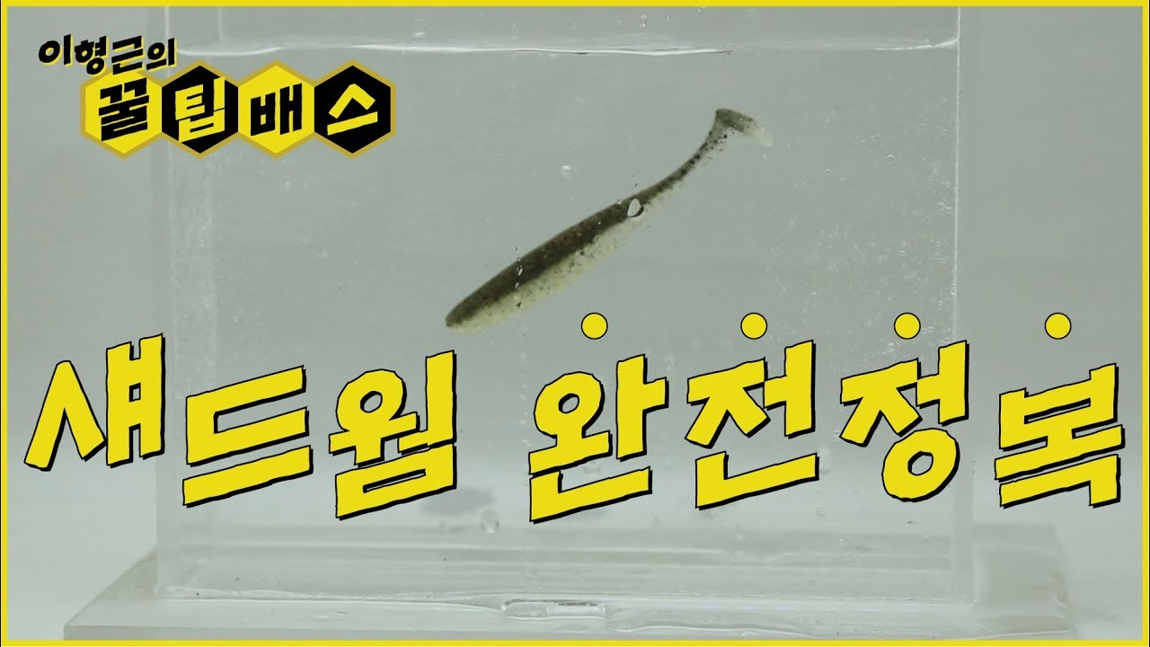 [꿀팁배스 EP54_01] 배스낚시 섀드웜 완전정복 What Is The Better Way To Choose Paddle Tail Swimbaits?