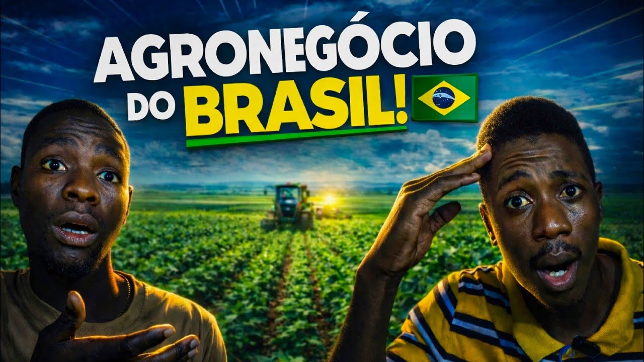 👉 “FICÁMOS CHOCADOS! 😱 Os 10 Maiores Estados do Agronegócio Brasileiro”