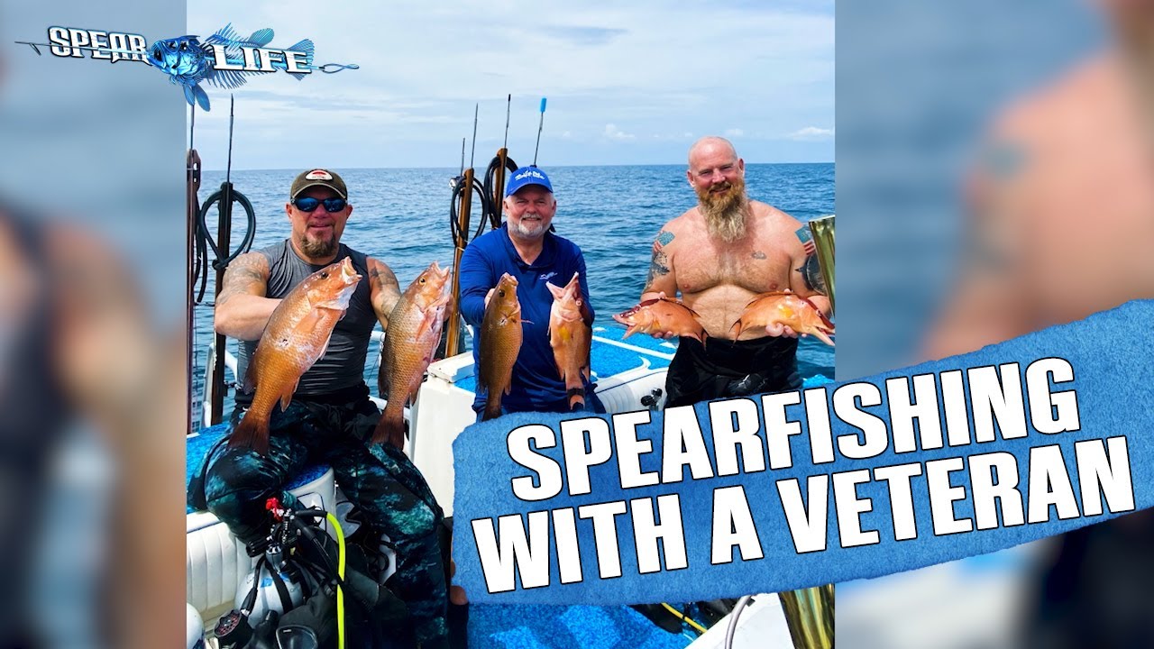 Diving the Circle of Heroes with a Veteran