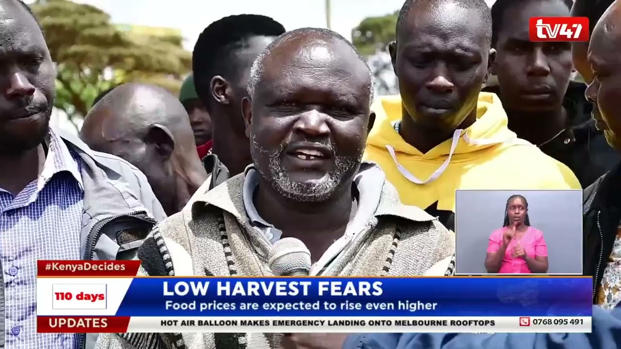 Food prices expected to rise even further as farmers express fears of low harvest