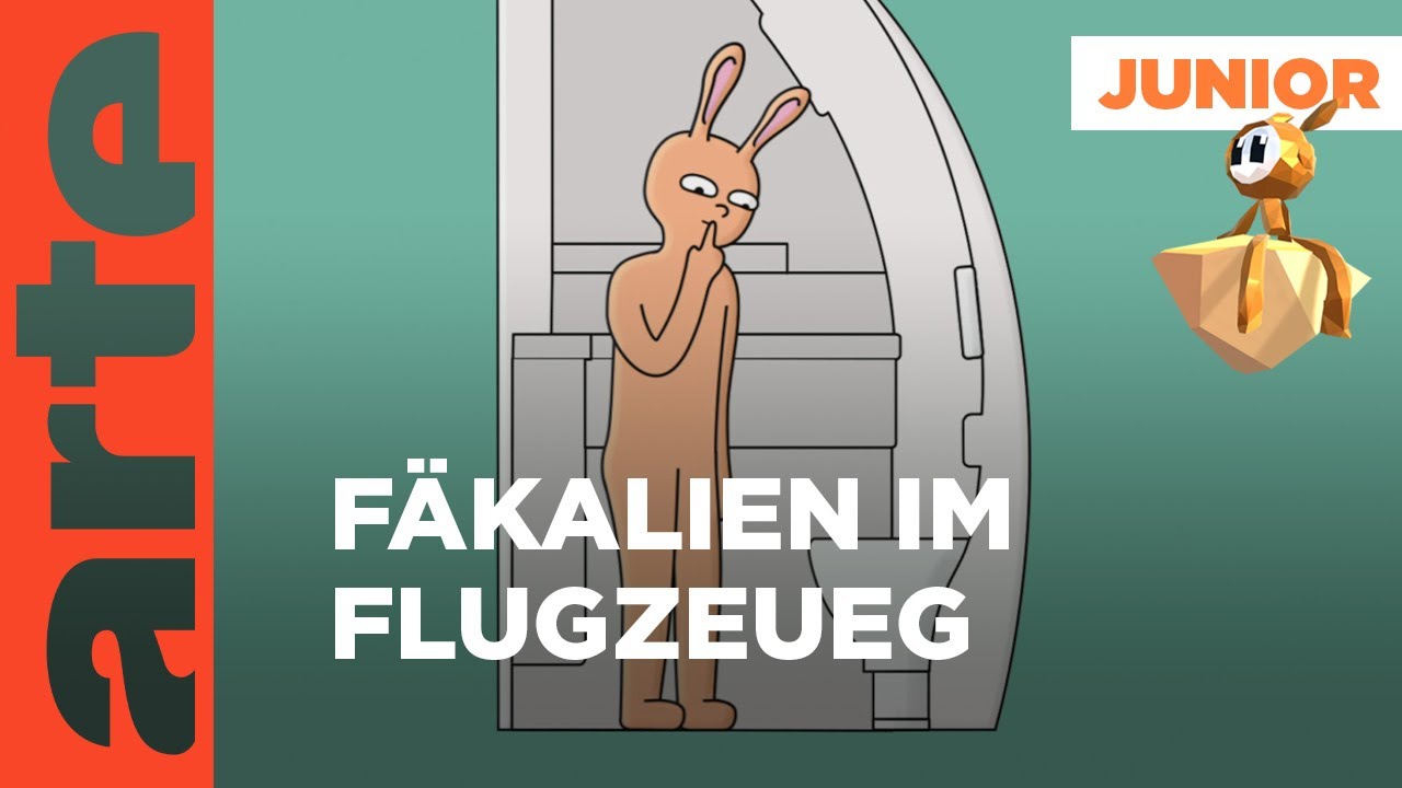 Wie werden F&auml;kalien im Flugzeug entsorgt? | Eure Fragen | ARTE Family