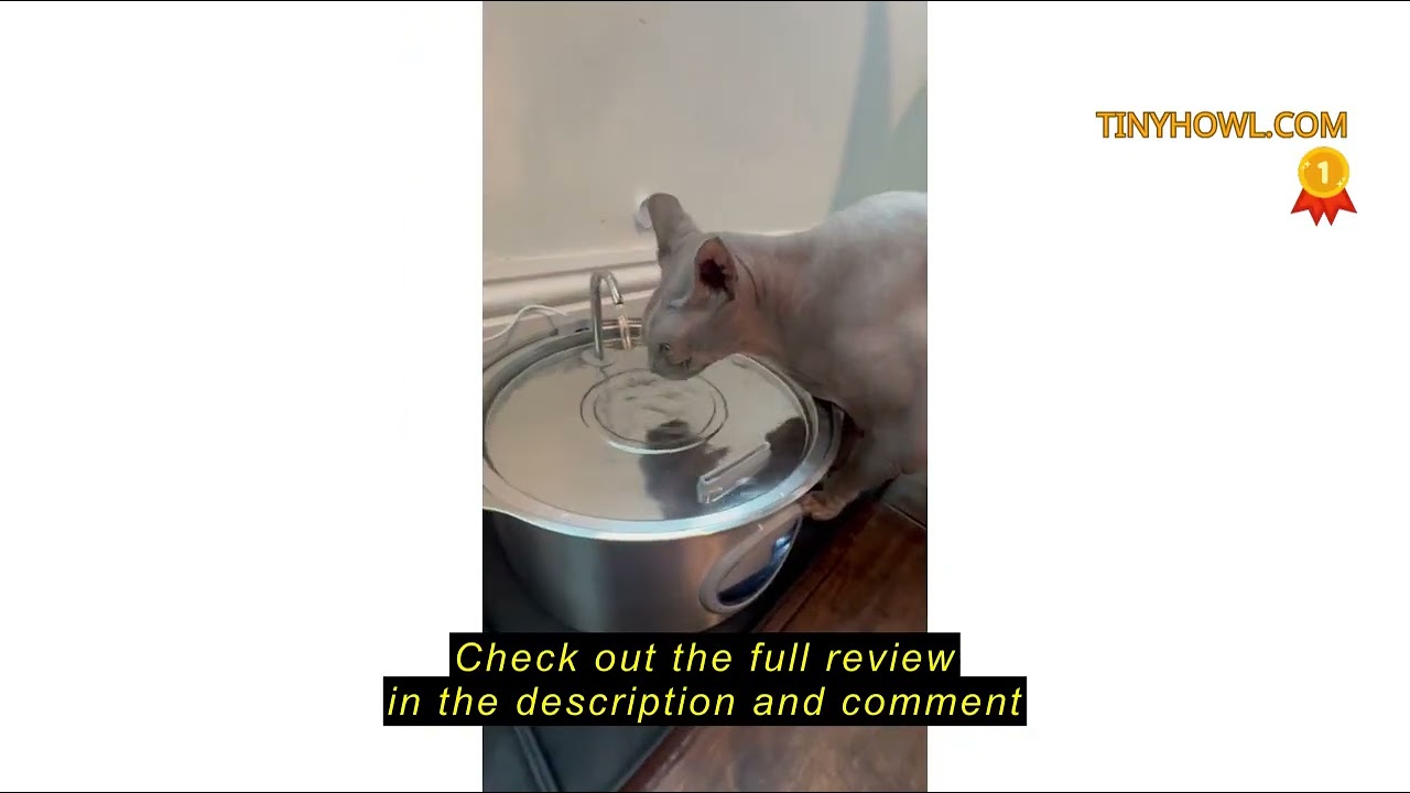 Review GROOKPET Dog Water Fountain for Large Dogs: 7L/236oz/1.8G Dog Fountain Stainless Steel - Big