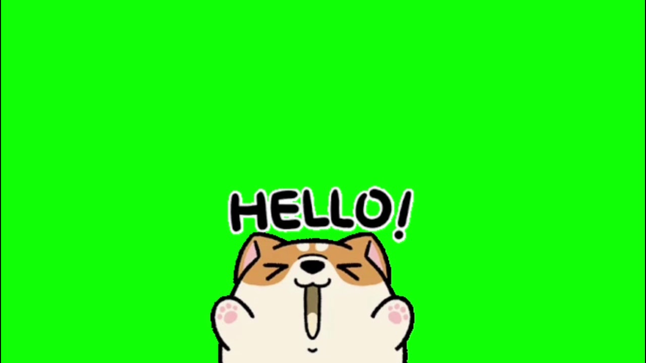 ✔️GREEN SCREEN EFFECTS: hello dog