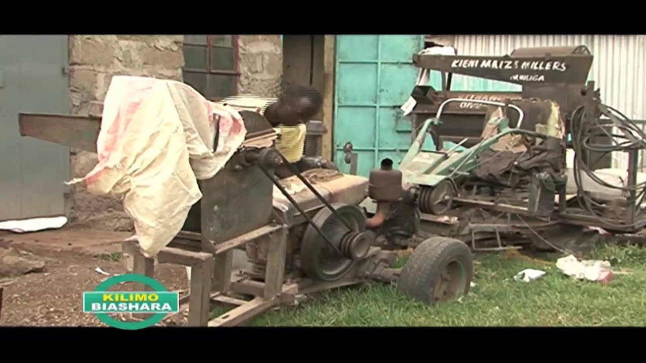 Canola Oil Farming KENYA 2