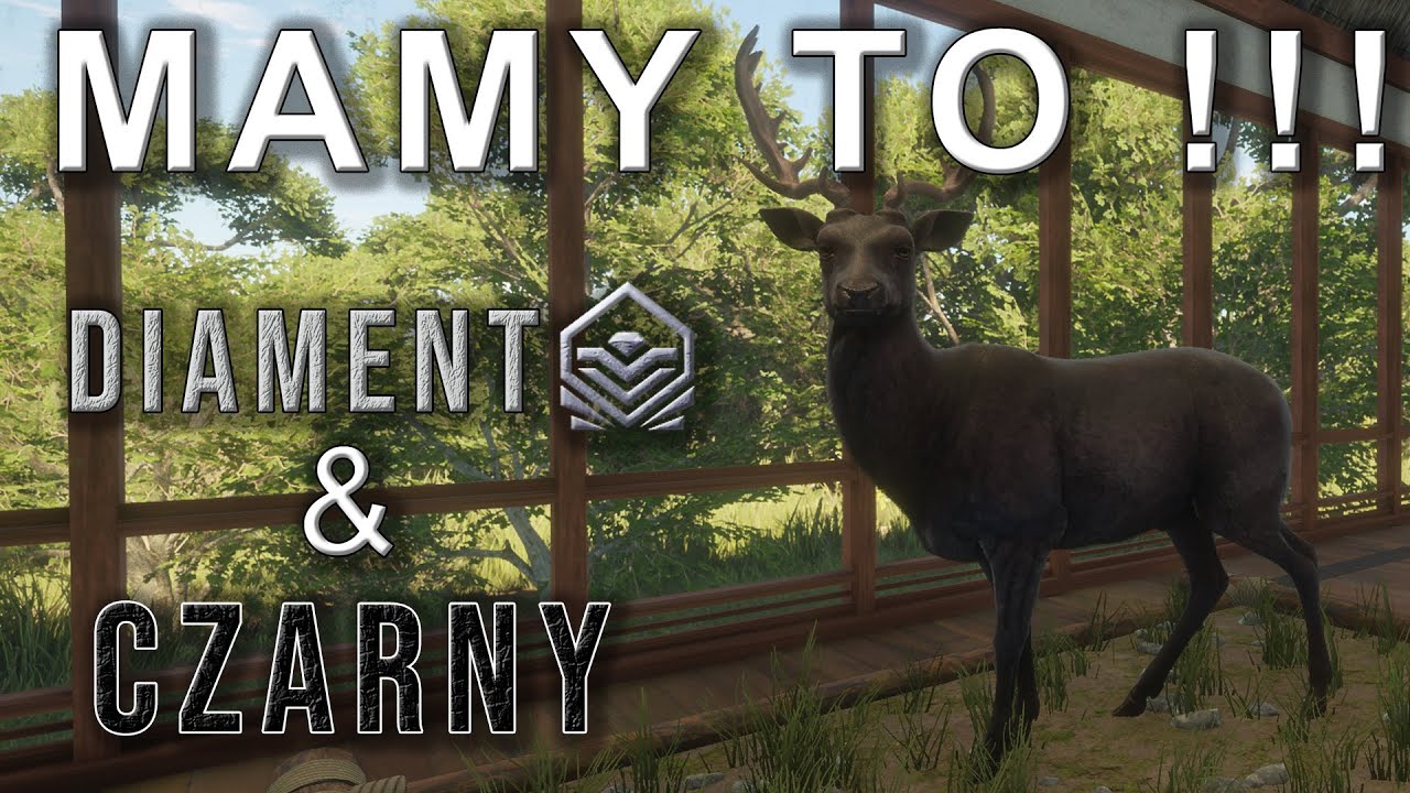 DIAMENTOWY💎 i CZARNY🖤 Daniel podczas grindu na LiveStream 🎞 | theHunter: Call of the Wild
