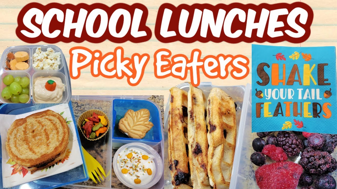 BACK TO SCHOOL LUNCHES PICKY EATERS |  | NICOLE BURGESS LUNCHBOX