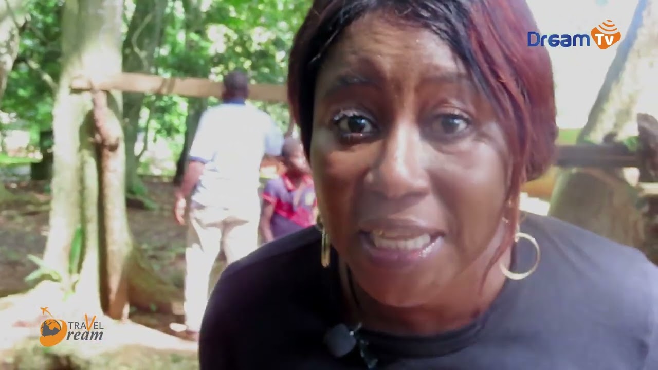 Côte d'Ivoire Profonde l L'histoire des singes sacrés de Gbetitapia dans la région de Daloa