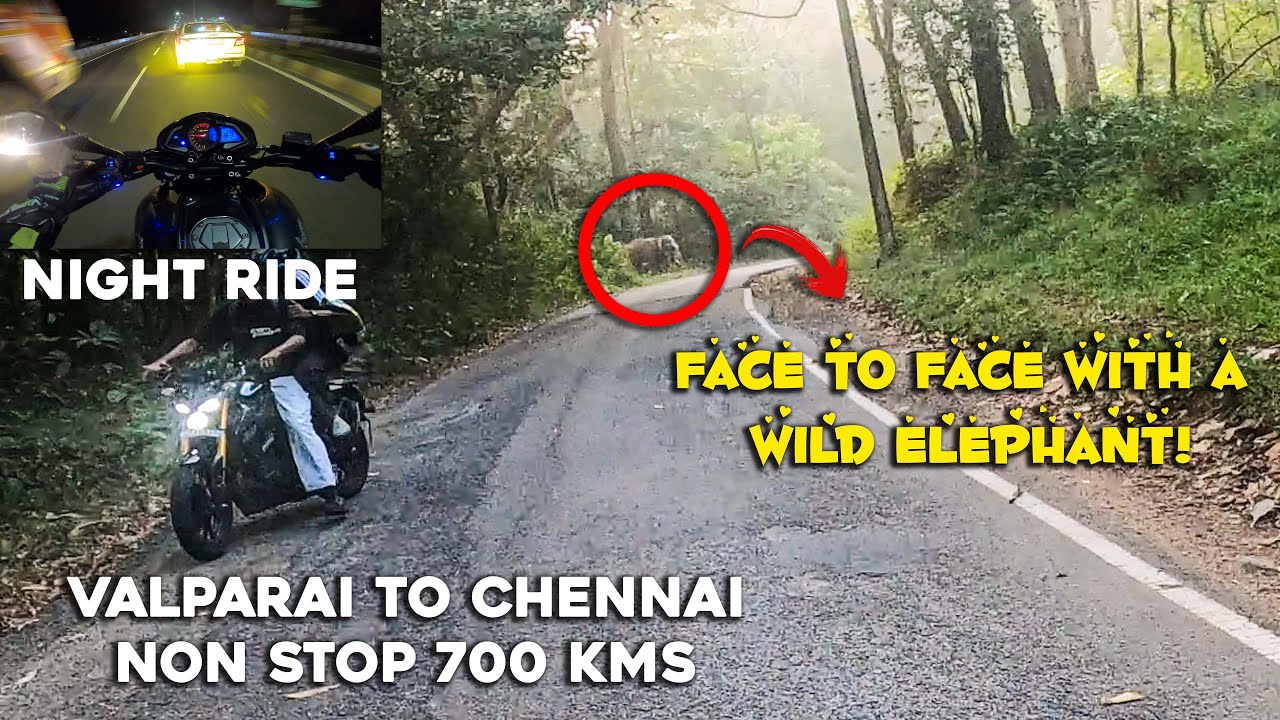 “An elephant is blocking our way”😱| Valparai to chennai NONSTOP🔥| EP 4 | Ns200❤️