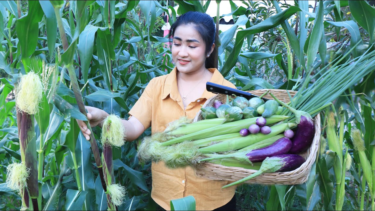 Nutritious vegetables around home is the best for cooking / Cooking with Sreypov