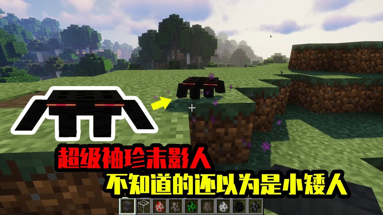 我的世界mod：你不会认为这是末影人的，这也太袖珍了吧