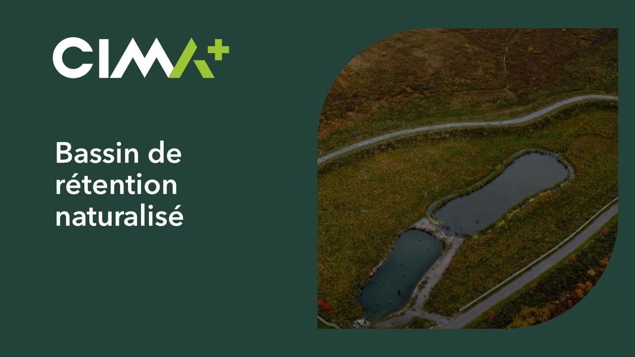 Bassin de rétention naturalisé – Gatineau | CIMA+