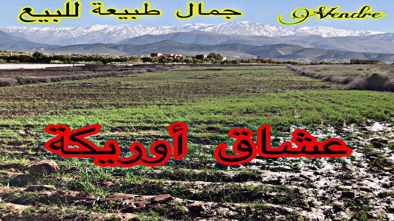 أرض للبيع طريق أوريكة علي جبال الأطلس