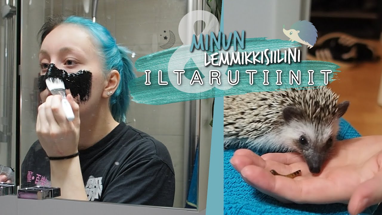 MUN JA LEMMIKKISIILINI ILTARUTIINIT🌙🦔 &raquo; T I N K E