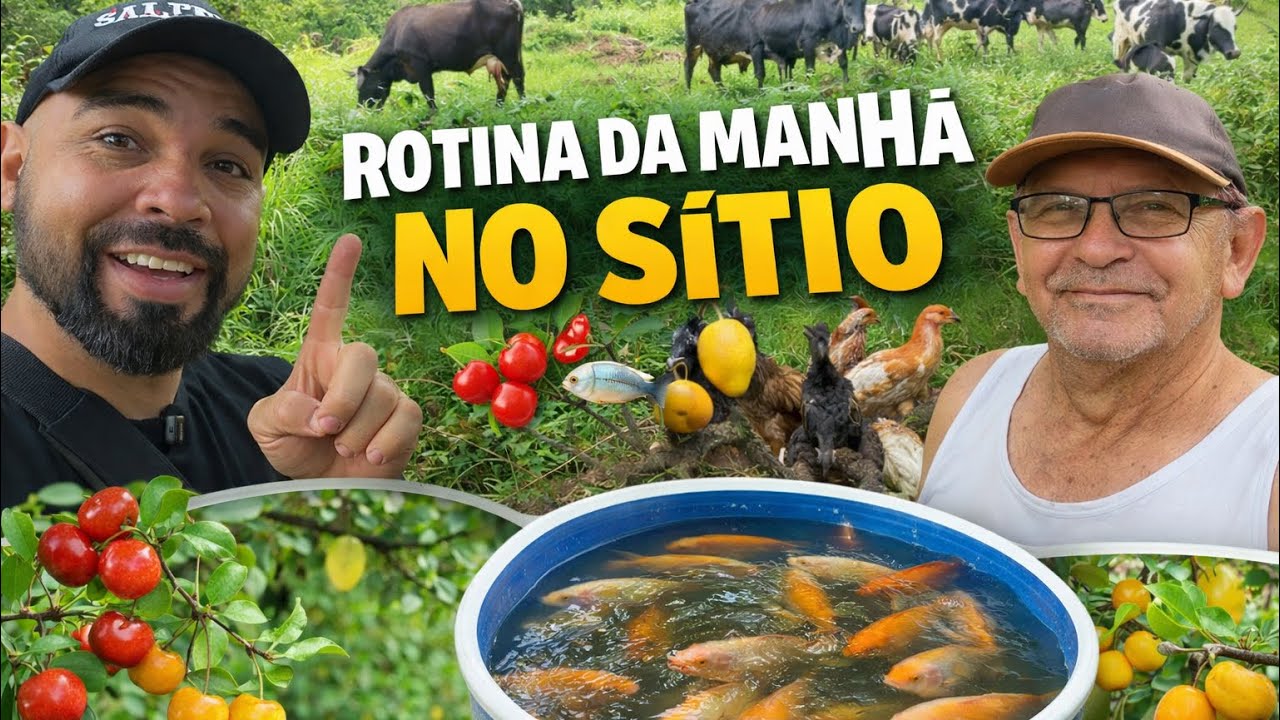 Como é a Rotina da Manhã no Sítio 🐔🐄 Vida Simples com Meu Pai