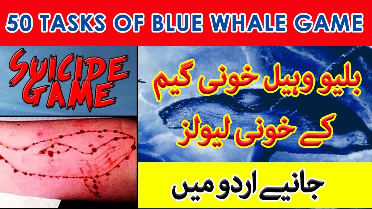 50 Tasks/Stages of Blue Whale Game Challenge in Urdu | The Death Game