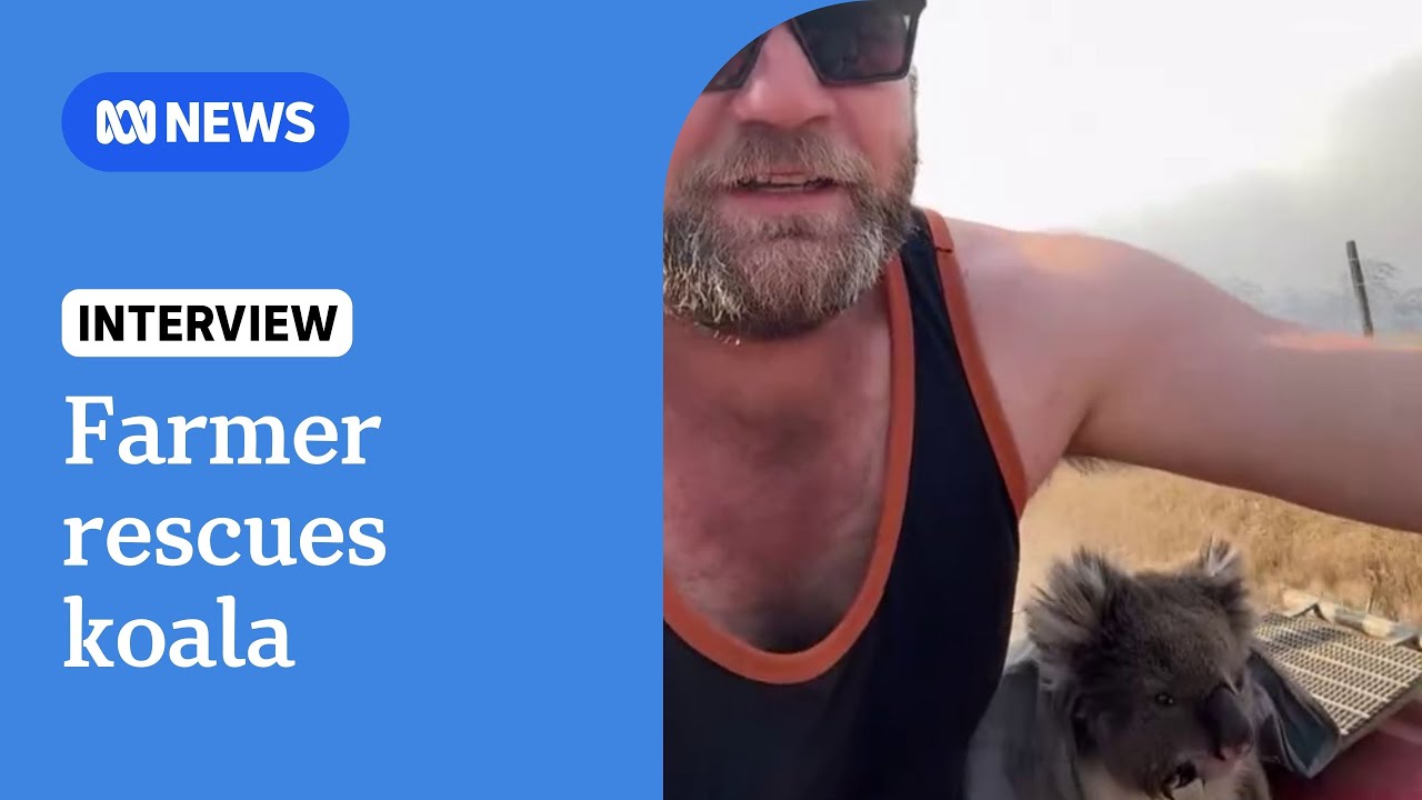 Farmer rescues koala from Victorian bushfires | ABC NEWS