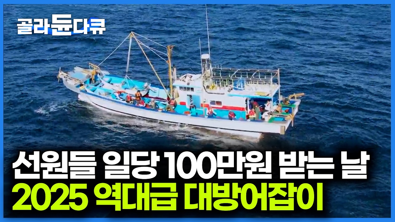 던지는 족족 잡혀 선원들 일당 100만원 받아가는 날. 2025 마라도 대방어잡이｜전통 조업 방식 들망 어업｜최신판 극한직업｜#골라듄다큐