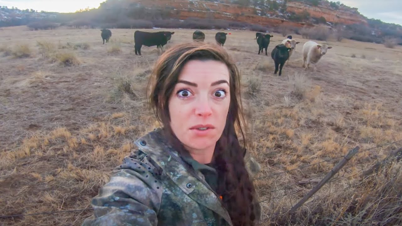 What Wild Animals We Found In The Wilderness (Better than Cows) North America
