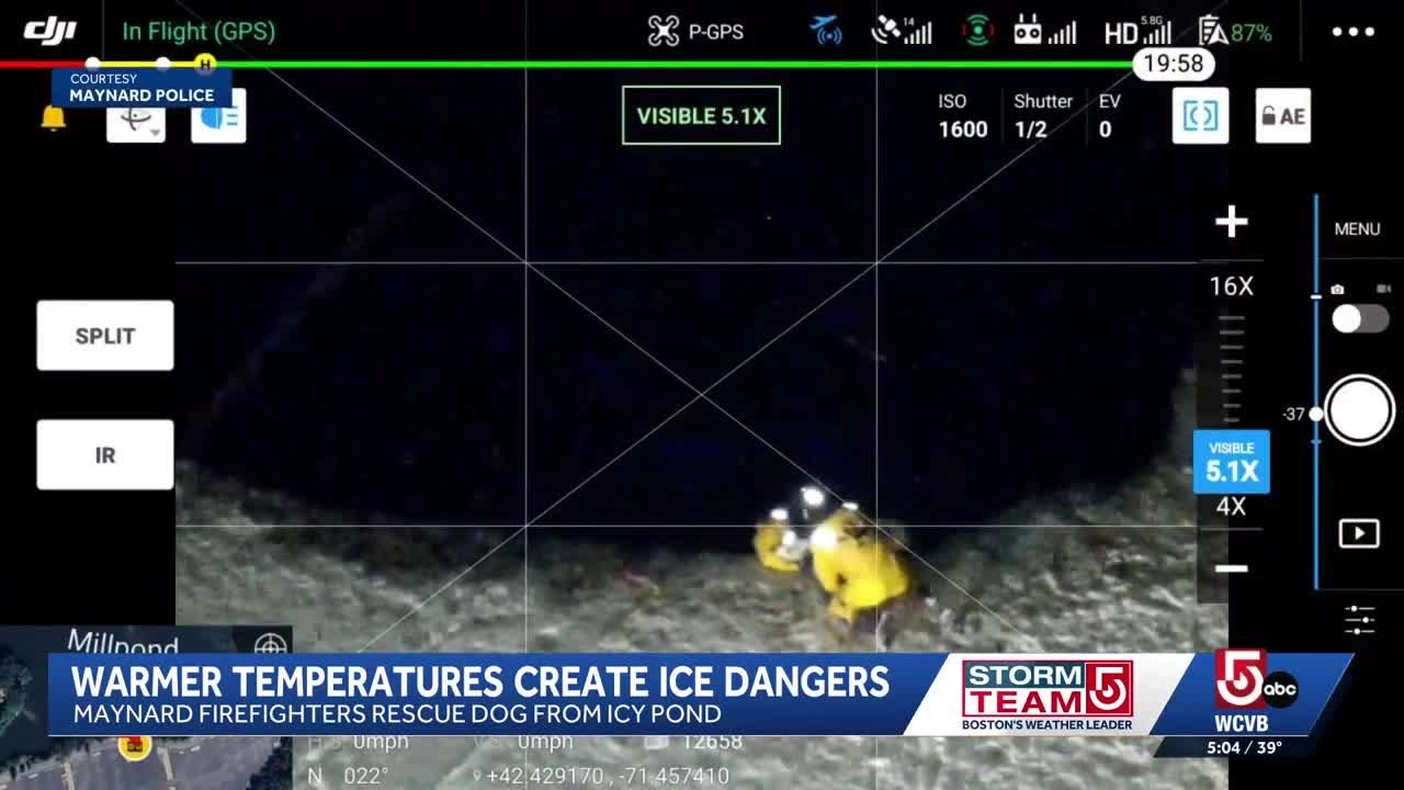 Dog rescue from Mass. pond prompts warning about ice dangers