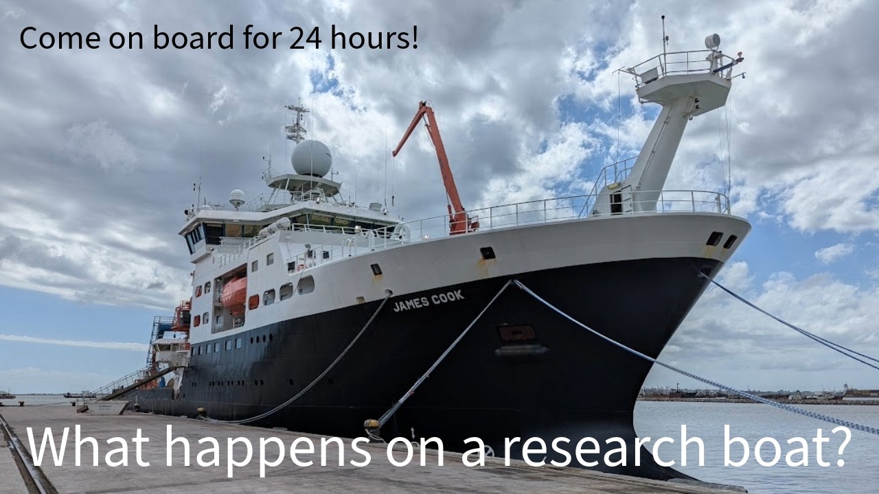 24 hours on board a research boat!