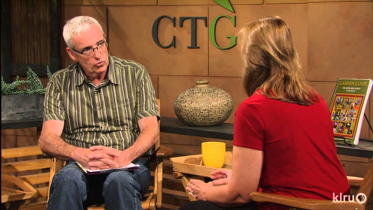 Top tips for fall & winter vegetables |Ally Stresing |Central Texas Gardener