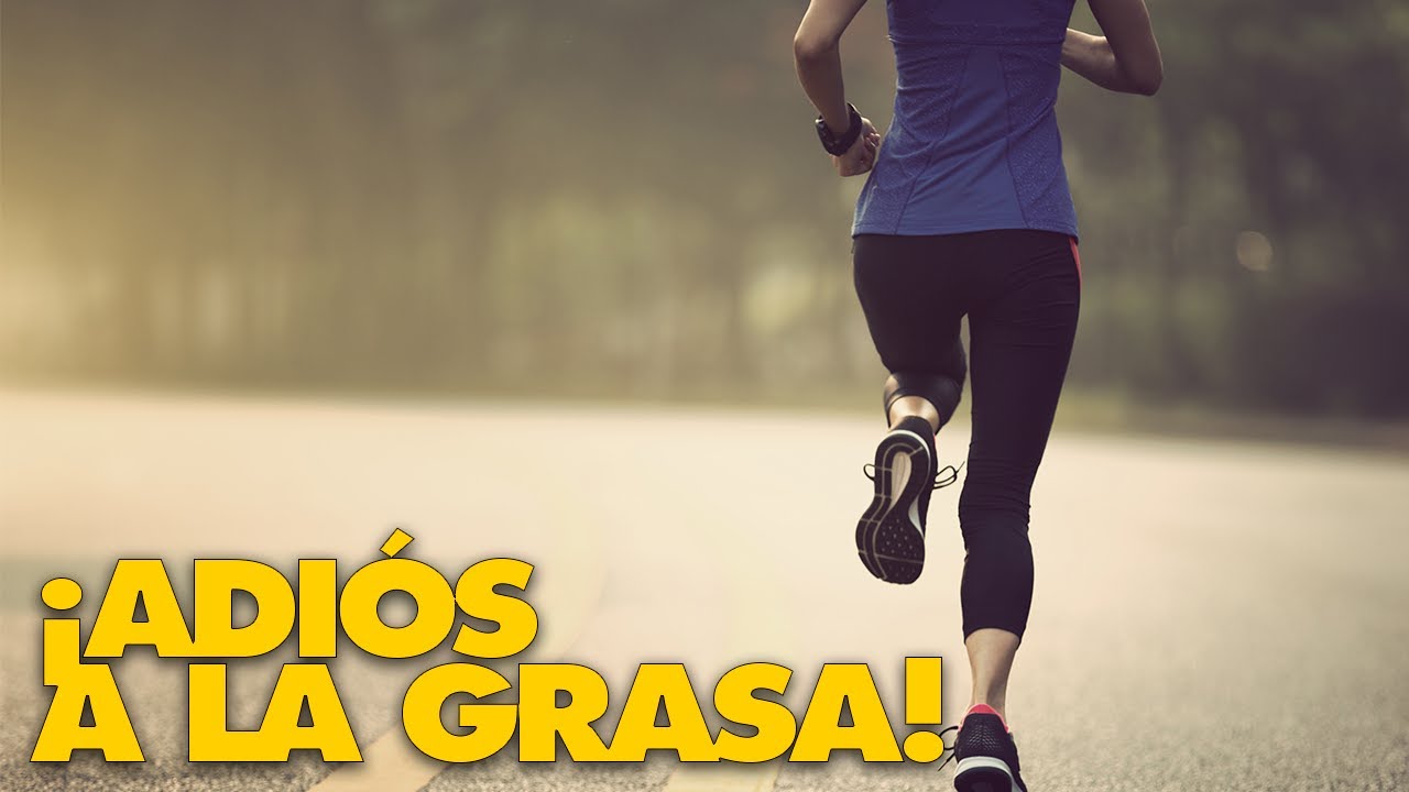 ¿Qué entrenamientos nos hacen PERDER MÁS GRASA?