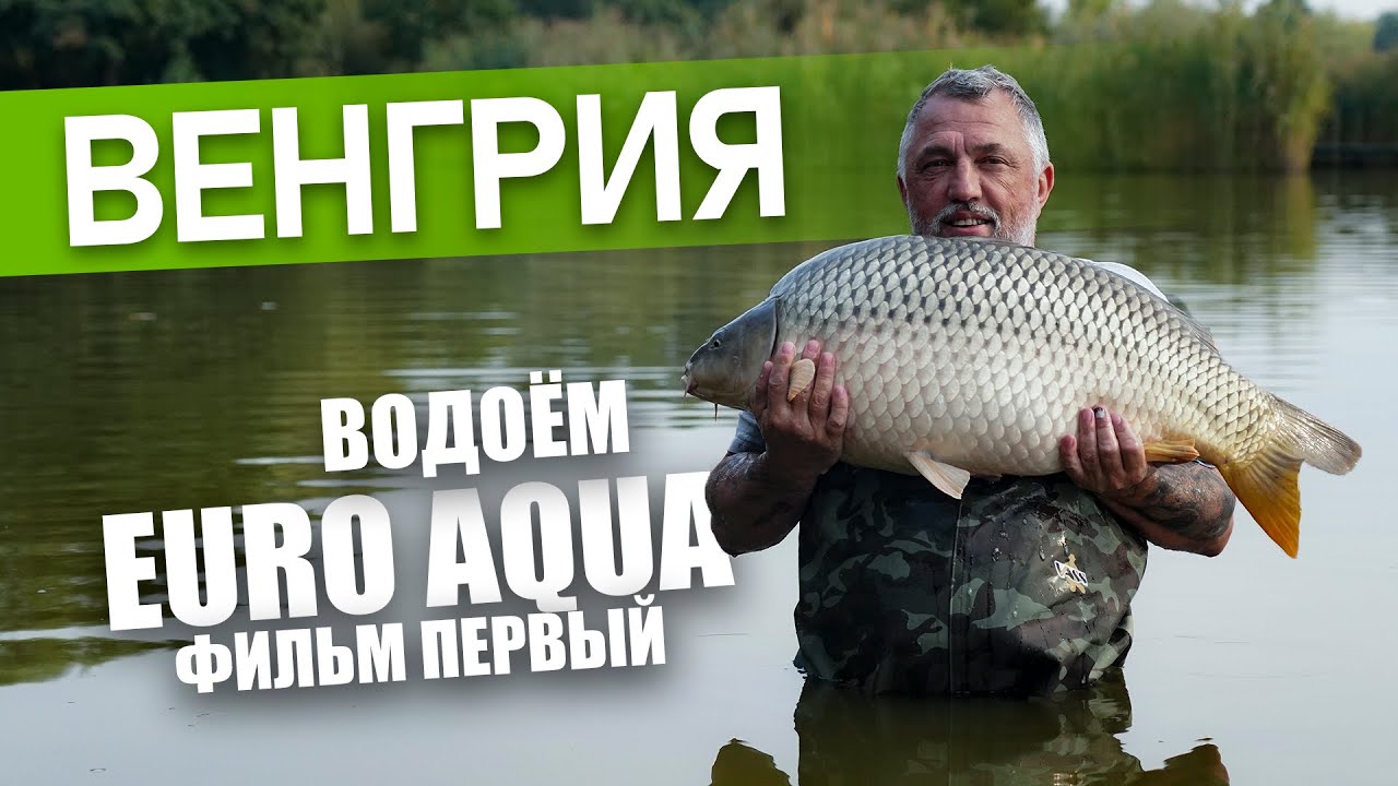 Карпфишинг на водоеме - ЕВРО АКВА  - фильм первый