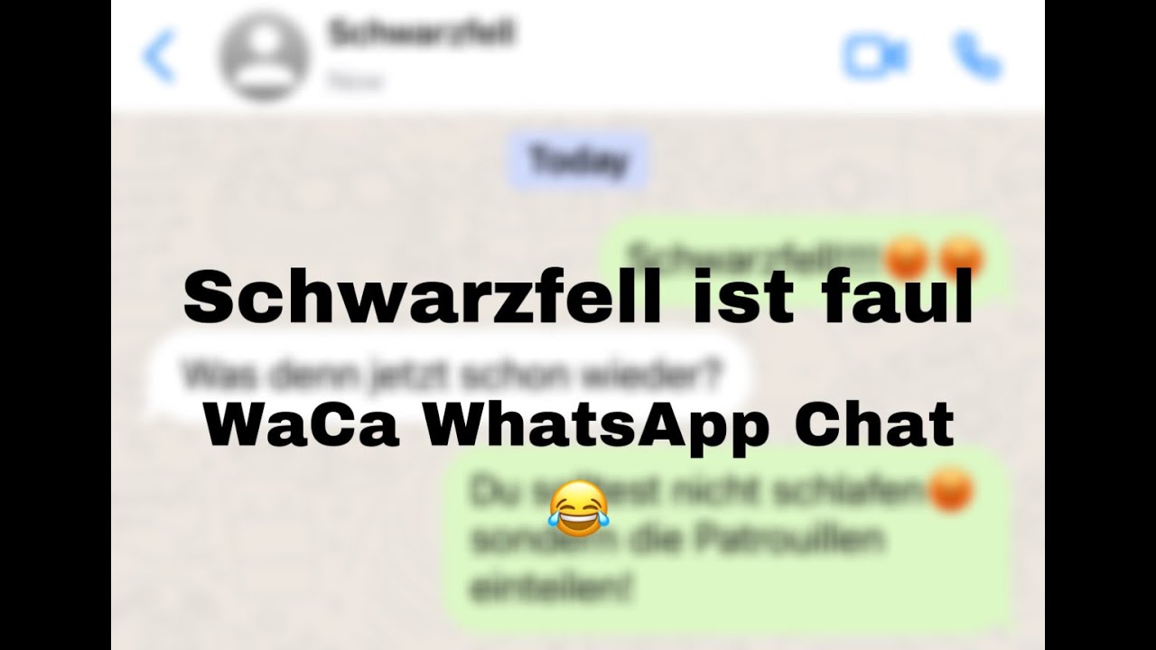 Schwarzfell ist faul xD l Warrior Cats WhatsApp Chat