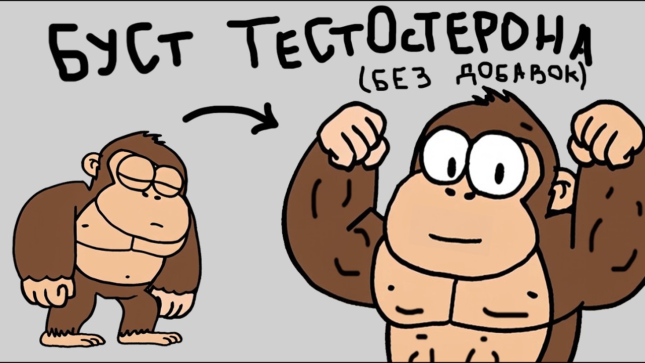 Высокий тестостерон – это ключ ко всему (только база)