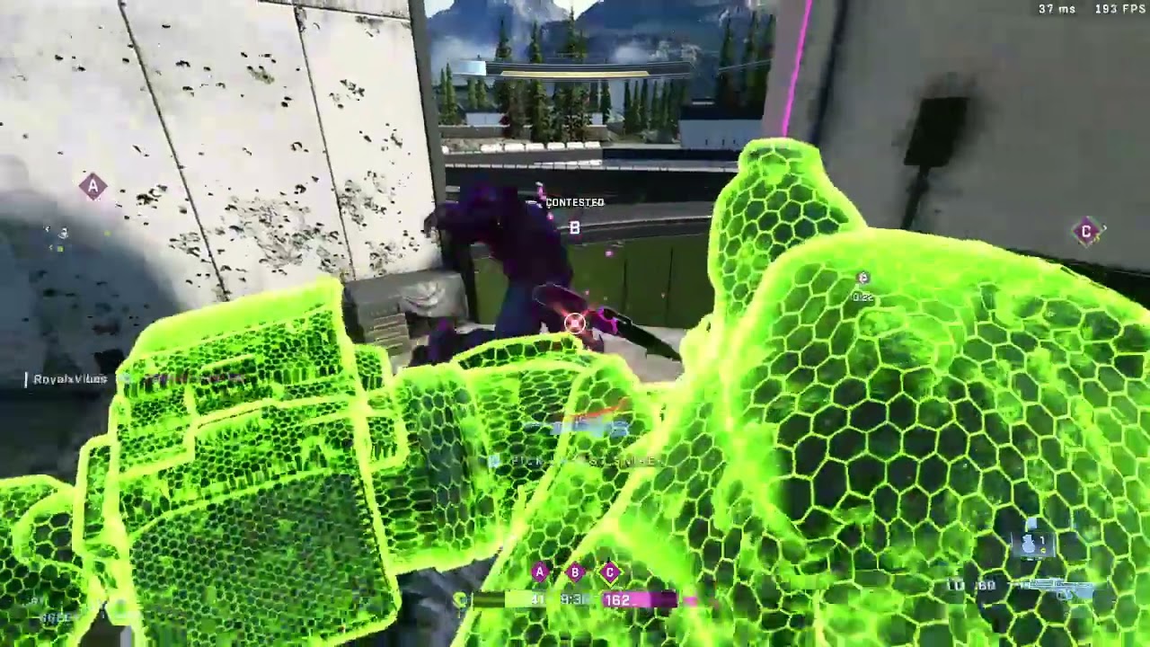 halo vibe