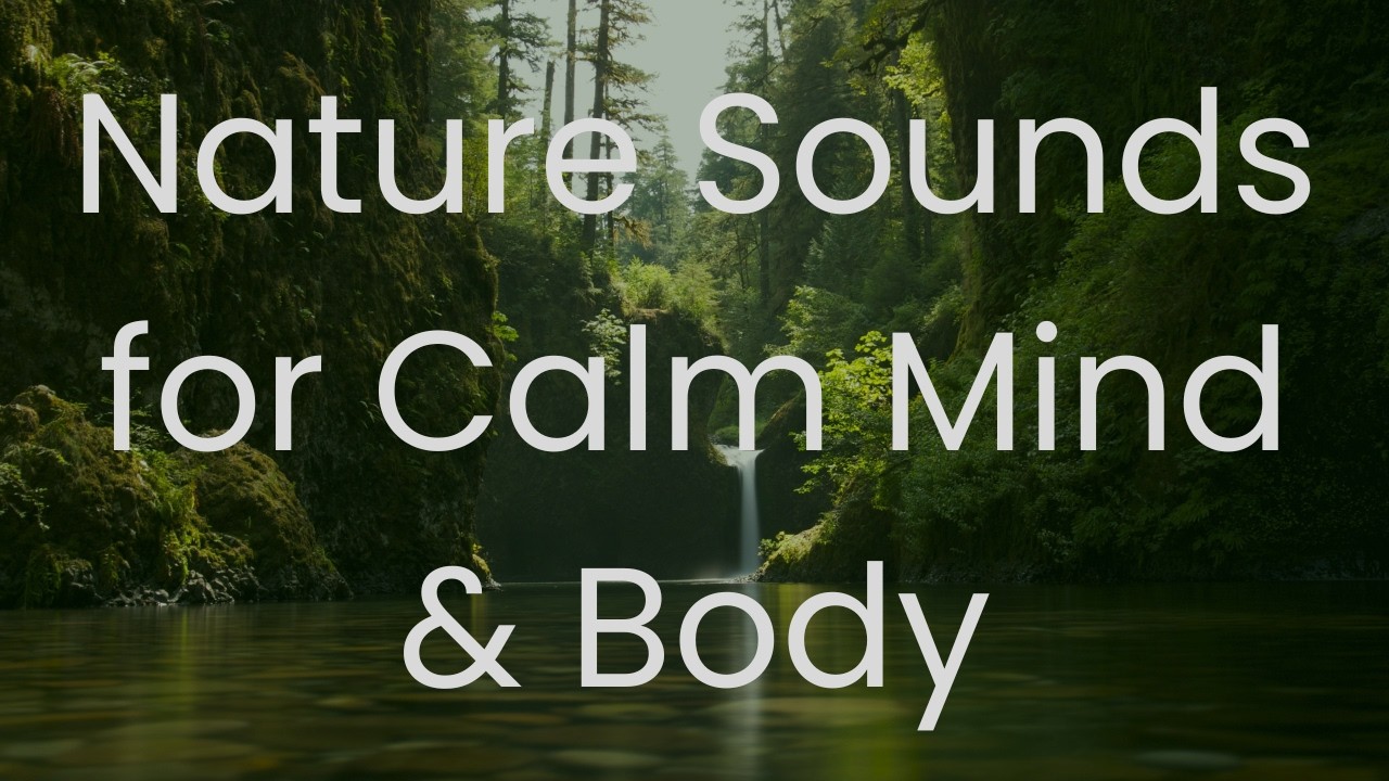Nature Sounds for Calm Mind & Body | Relaxing Forest, Water & Birdsong Ambience