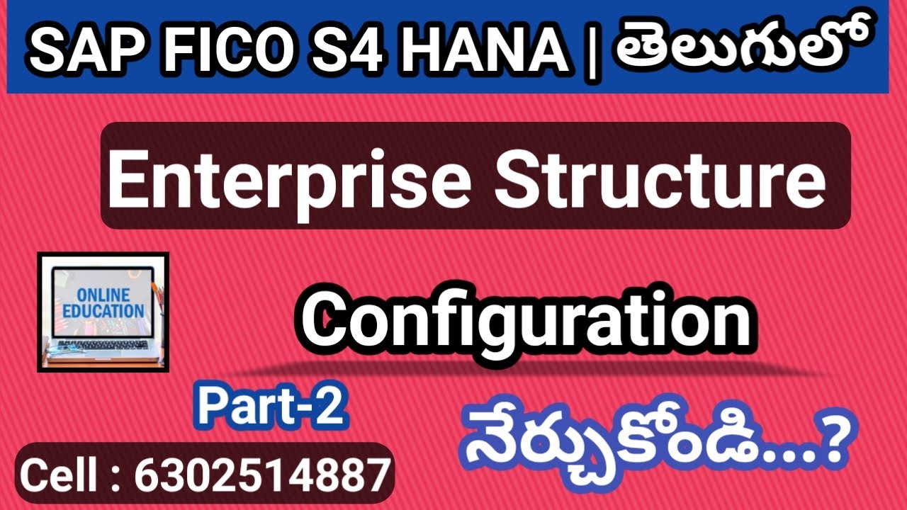 SAP FICO in Telugu| Enterprise Structure Configuration in SAP How to do configuration- By Lokesh