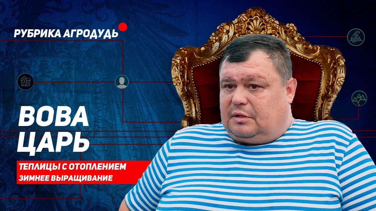 Вова-Царь. Поменял такси на теплицы с отоплением. Зимнее выращивание на Кубани.