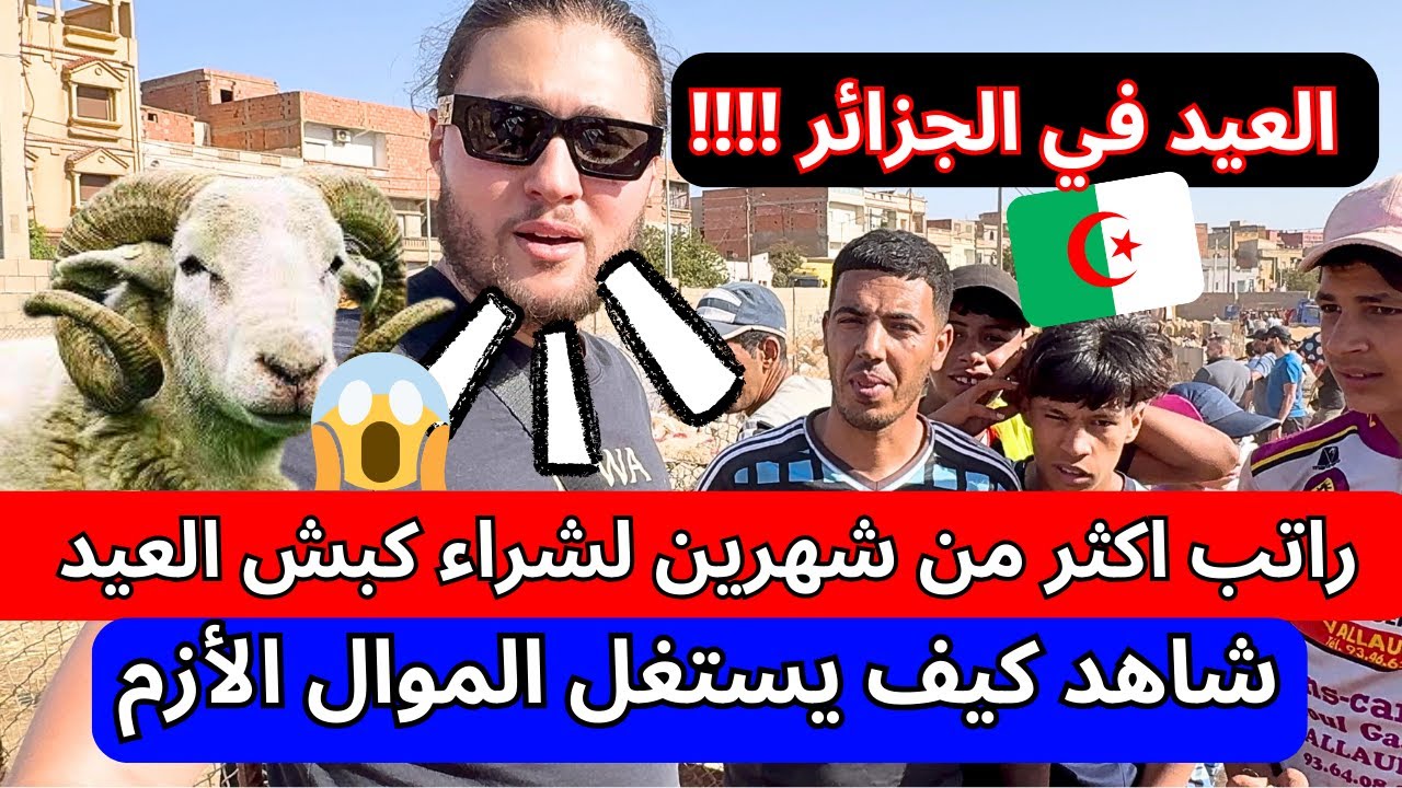 العيد في الجزائر 🇩🇿 !!!!! : راتب اكثر من شهرين لشراء كبش العيد 😢 شاهد كيف يستغل الموال الأزمة
