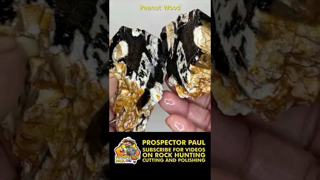 Discovering the Hidden Secrets in Rocks 59 - PEANUT WOOD #crystals #gemstone #gems #rockhounding