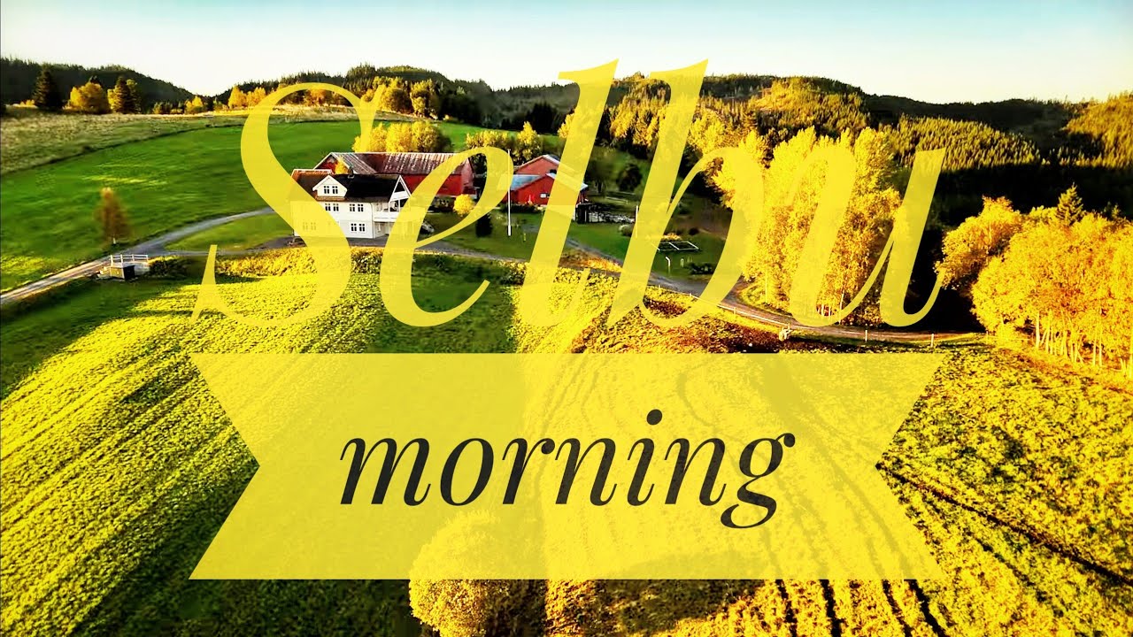 Selbu. Dreamy morning drone flight 4k60p 