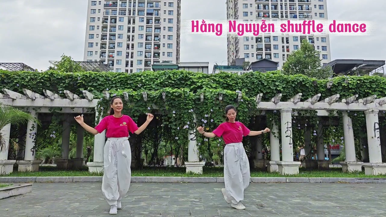 CA VANG PHỤ NỮ VIỆT NAM/ Shuffle dance/ Bích Ngọc 