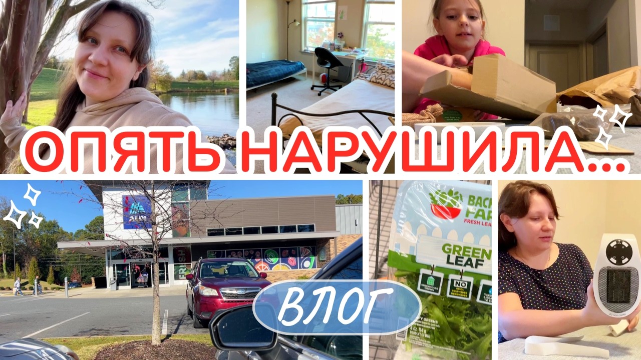 Мини Закупка Aldi. Amazon задирает цены. Пришло то, что хотела! Семейный влог